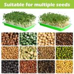 10-Pack BPA Free Seed Sprouting Trays