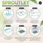 Easy Microgreen Grow Kit - Indoor Herb Garden