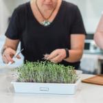HAMAMA Microgreens Growing Kit - Kale & Broccoli