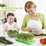 10-Pack BPA Free Seed Sprouting Trays