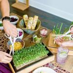 HAMAMA Microgreens Growing Kit - Kale & Broccoli