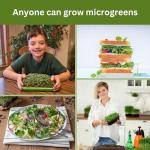 Indoor Microgreens Kit - Organic Home Garden System