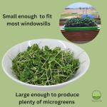 Indoor Microgreens Kit - Organic Home Garden System