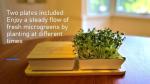 Self-Watering Microgreens Growing Kit with Trays