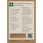 Mizuna Microgreens Growing Kit with Ceramic Trays