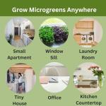 Indoor Microgreens Kit - Organic Home Garden System