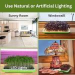 Indoor Microgreens Kit - Organic Home Garden System