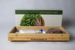 Bamboo Microgreens Growing Kit with Radish Seeds