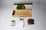 Bamboo Microgreens Growing Kit with Radish Seeds