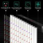 800W LED Grow Light with Timer and Temp Control