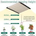 800W LED Grow Light with Timer and Temp Control