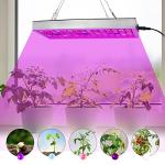 Juhefa Full Spectrum LED Grow Light Panel