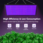1000W Full Spectrum LED Grow Light for Indoor Plants