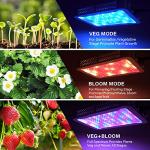 Beelux 1000W Full Spectrum LED Grow Light