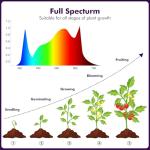 1000W Full Spectrum LED Grow Light for Indoor Plants