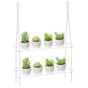 2-Tier Acrylic Window Boxes for Indoor Plants