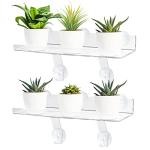 Transparent Acrylic Window Plant Shelf Set