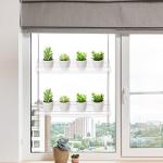 2-Tier Acrylic Window Boxes for Indoor Plants