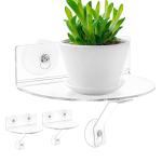 Suction Cup Acrylic Window Plant Shelves - 2 Pack