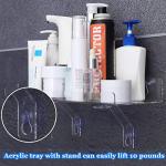 Transparent Acrylic Window Plant Shelf Set