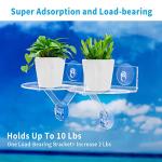 Suction Cup Acrylic Window Plant Shelves - 2 Pack