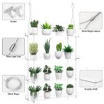 4-Tier Clear Acrylic Plant Shelves for Windows