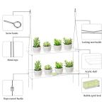 2-Tier Acrylic Window Boxes for Indoor Plants