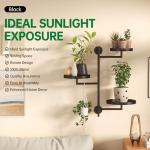 3-Tier Rotating Window Plant Shelf Stand