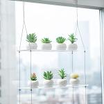 2-Tier Acrylic Window Boxes for Indoor Plants