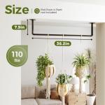 Bamworld Indoor Hanging Planters for Urban Gardens