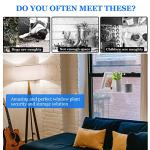 Transparent Acrylic Window Plant Shelf Set