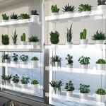4-Tier Clear Acrylic Plant Shelves for Windows