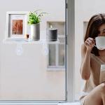 Transparent Acrylic Window Plant Shelf Set