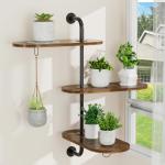 VyGrow 3-Tier Rotating Window Plant Shelf