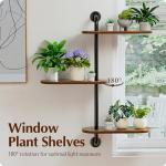 Rotating 3-Tier Wooden Window Plant Shelves