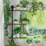 Rotating 3-Tier Wooden Window Plant Shelves