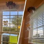 ZASIMO Adjustable 2-Tier Hanging Plant Shelves