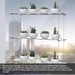 3-Tier Adjustable Hanging Plant Shelves for Windows