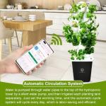 LnzyGarden Indoor Hydroponic Vegetable Growing System