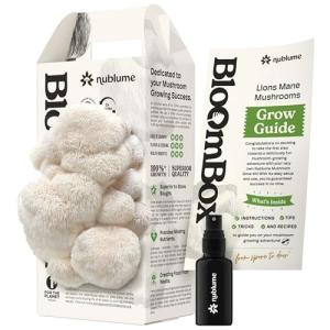 Lion's Mane Mushroom Grow Kit for Home Use