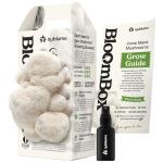 Lion's Mane Mushroom Grow Kit for Home Use
