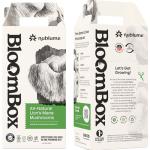 Lion's Mane Mushroom Grow Kit for Home Use