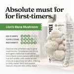 Lion's Mane Mushroom Grow Kit for Home Use