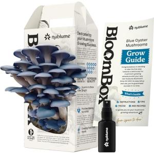 Blue Oyster Mushroom Grow Kit for Home Gardening