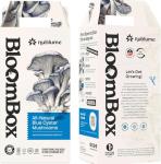 Blue Oyster Mushroom Grow Kit for Home Gardening