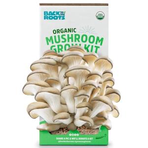 Organic Oyster Mushroom Grow Kit for Easy Harvest