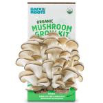Organic Oyster Mushroom Grow Kit for Easy Harvest