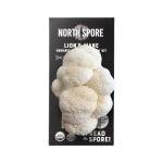 Organic Lion's Mane Mushroom Grow Kit - 4 lbs