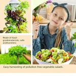 LnzyGarden Indoor Hydroponic Vegetable Growing System