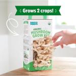 Organic Oyster Mushroom Grow Kit for Easy Harvest